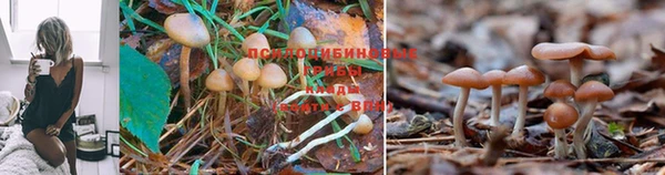 марки lsd Усолье-Сибирское