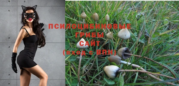 гашиш Вяземский