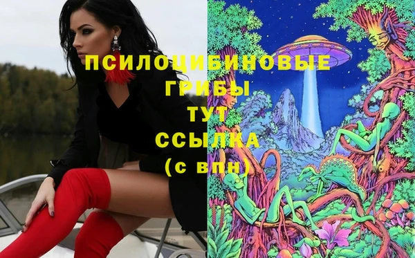 мяу мяу мука Усинск