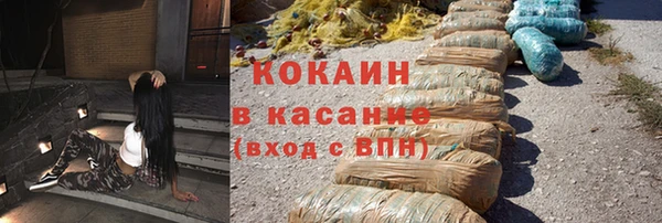 сатива Вязьма