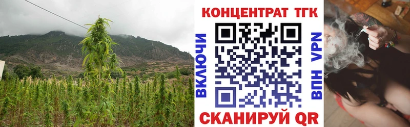 ТГК концентрат Торжок